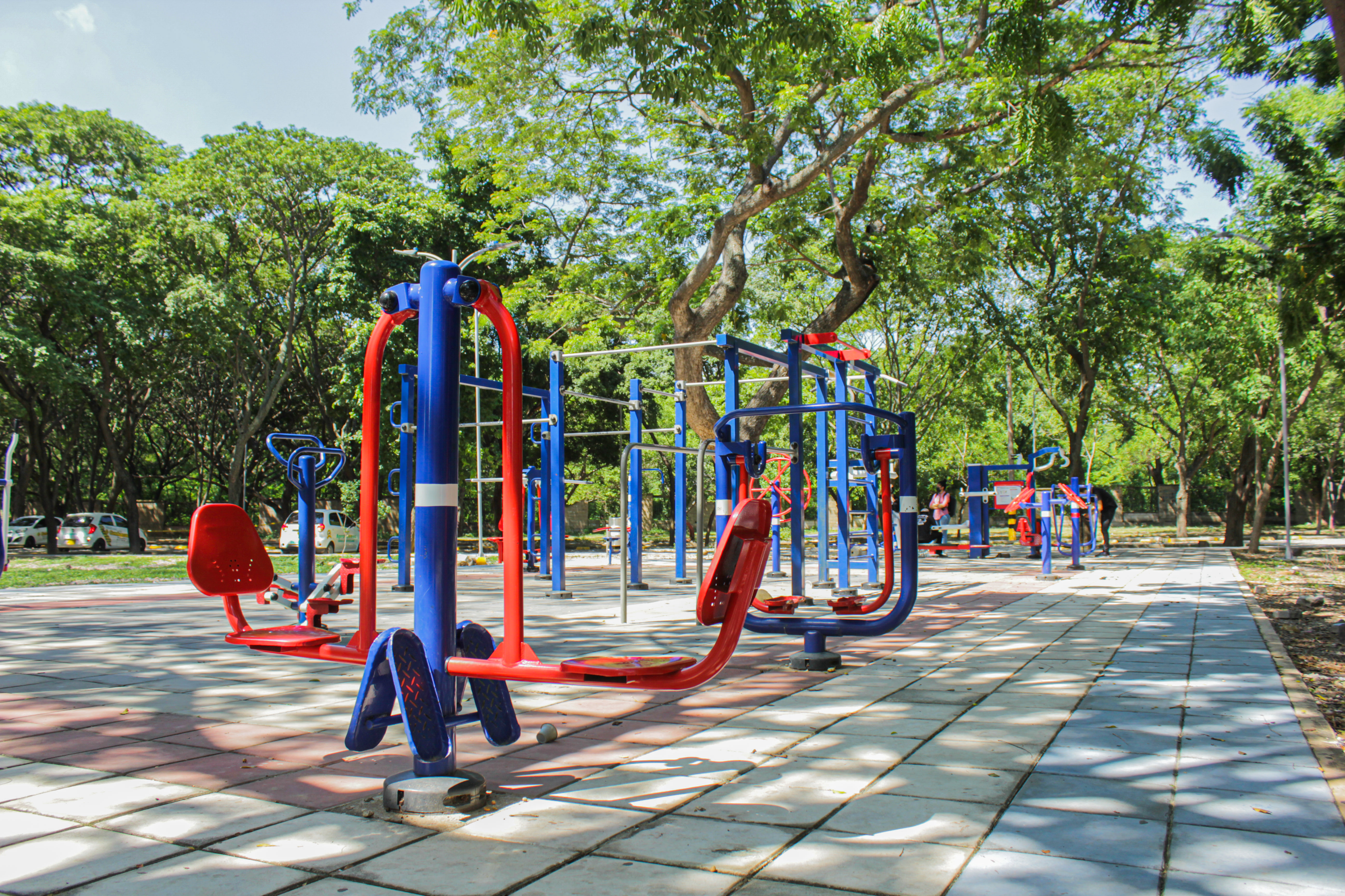 Gimnasios Biosaludables El educador